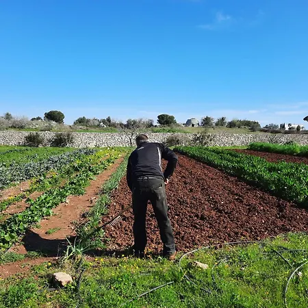 Country house Masseria San Cosimo